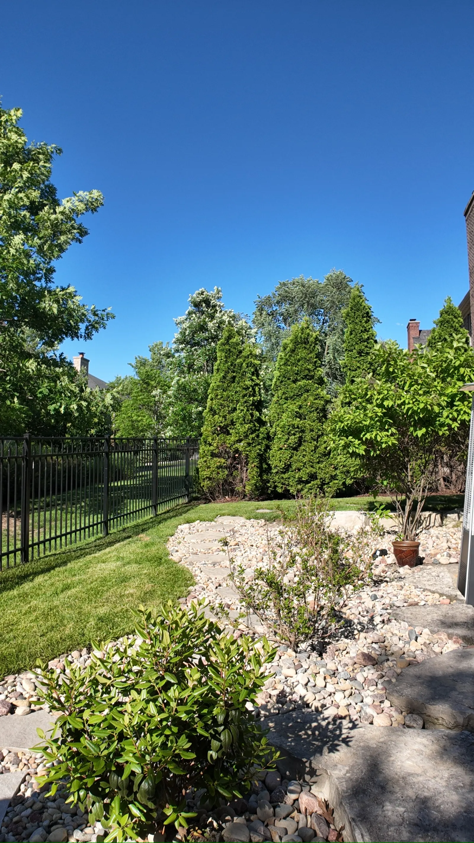 Arborvitae privacy screen with river rock dry creek bed landscape design