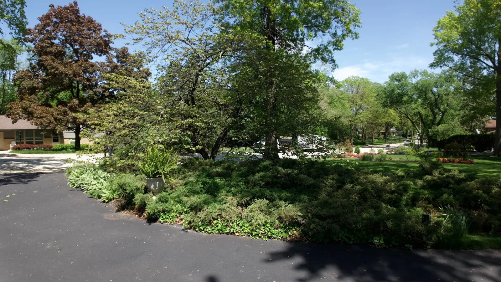 Lush mature shade tree over manicured landscape bed at residential home