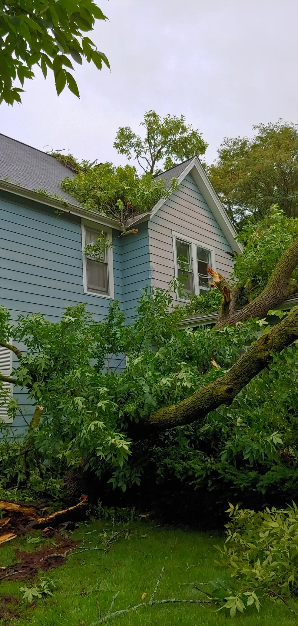 Storm damaged tree removal from home